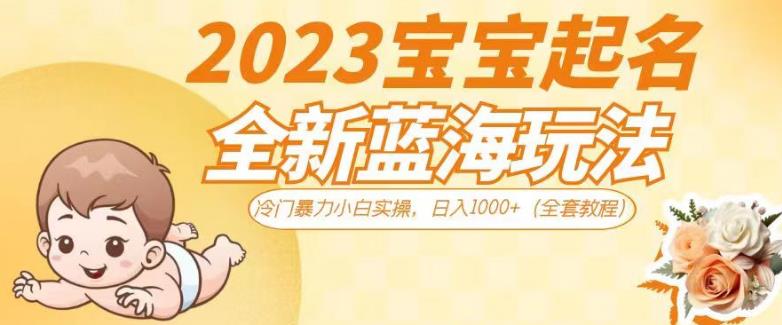 2023宝宝起名全新蓝海玩法,冷门暴力小白实操,日入1000+(全套教程)【揭秘】-水滴知识网