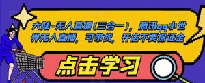 大陆-无人直播(三合一),腾讯qq小世界无人直播,可带货,开店不要保证金-水滴知识网