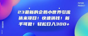 23最新的企鹅小世界引流搞米项目!快速搞钱!新手可做!轻松日入300+【揭秘】-水滴知识网