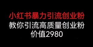 小红书暴力引流创业粉,教你引流高质量创业粉,价值2980【揭秘】-水滴知识网