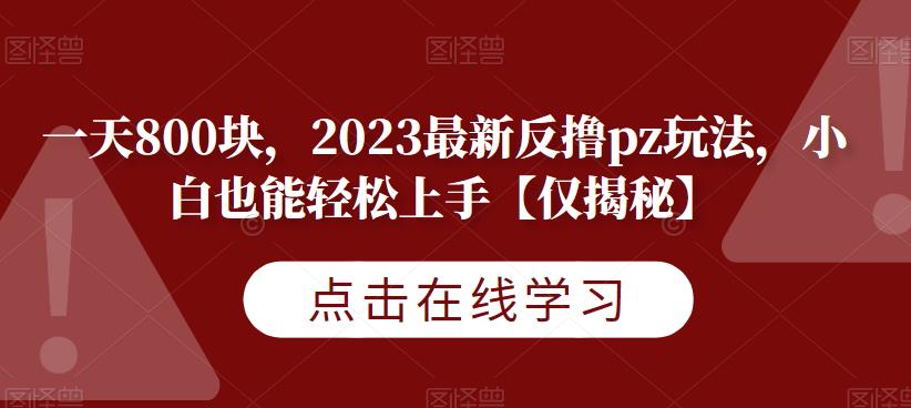 一天800块,2023最新反撸pz玩法,小白也能轻松上手【仅揭秘】-水滴知识网