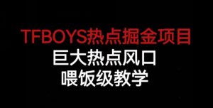 TFBOYS热点掘金项目，巨大热点风口，喂饭级教学-水滴知识网
