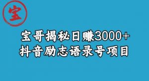 宝哥揭秘日赚3000+抖音励志语录号短视频变现项目-水滴知识网