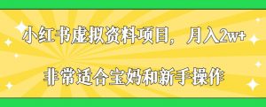 小红书虚拟资料项目,月入2w+,非常适合宝妈和新手操作【揭秘】-水滴知识网