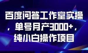 百度问答工作室实操,单号月产3000+,纯小白操作项目【揭秘】-水滴知识网