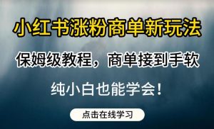 小红书涨粉商单新玩法,保姆级教程,商单接到手软,纯小白也能学会【揭秘】-水滴知识网