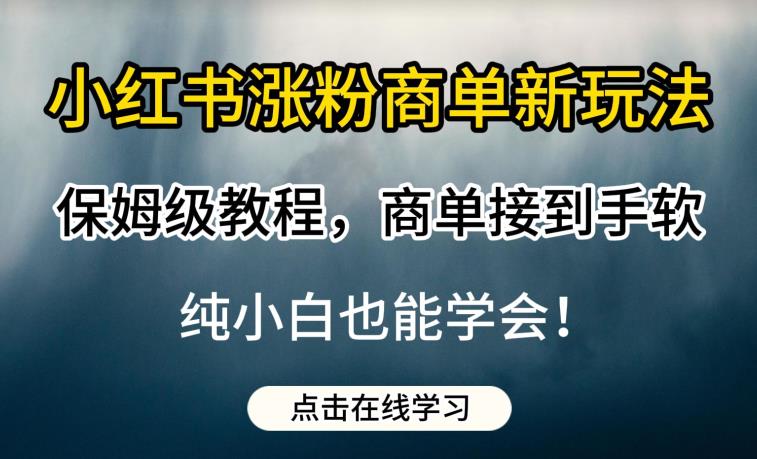 小红书涨粉商单新玩法，保姆级教程，商单接到手软，纯小白也能学会【揭秘】-水滴知识网