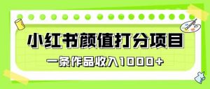 最新蓝海项目,小红书颜值打分项目,一条作品收入1000+【揭秘】-水滴知识网