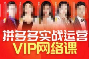 推易拼多多VIP全套直播课程,拼多多店铺实操玩法+实战玩法选款内功+直通车高阶等-水滴知识网