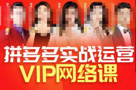 推易拼多多VIP全套直播课程,拼多多店铺实操玩法+实战玩法选款内功+直通车高阶等-水滴知识网