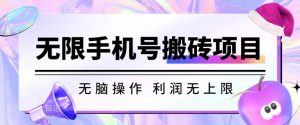 无脑搬砖项目-无限接码撸红包收益无上限【揭秘】-水滴知识网