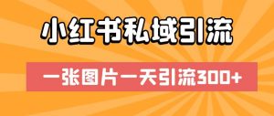 小红书私域引流，一张图片一天引流300+【揭秘】-水滴知识网