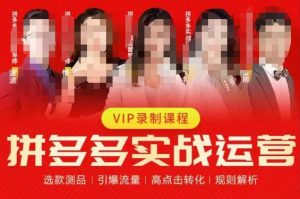 2023推易拼多多实战运营,选款测品、引爆流量、高点击转化、规则解析-水滴知识网