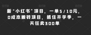 新“小红书”项目，一单5/10元，0成本搬砖项目，抓住开学季，一天狂卖300单【揭秘】-水滴知识网