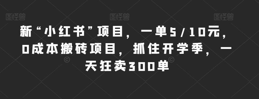 新“小红书”项目,一单5/10元,0成本搬砖项目,抓住开学季,一天狂卖300单【揭秘】-水滴知识网