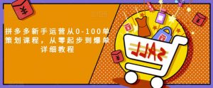 拼多多新手运营从0-100单策划课程,从零起步到爆单详细教程-水滴知识网