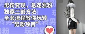 男粉变现,急速涨粉独家二创方法,全套流程教你玩转“男粉项目”【揭秘】-水滴知识网