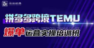 拼多多跨境TEMU爆单运营实操培训班,海外拼多多的选品、运营、爆单-水滴知识网