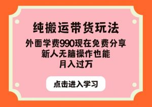 纯搬运带货玩法，外面学费990现在免费分享，新人无脑操作也能月入过万【揭秘】-水滴知识网