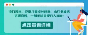 冷门项目,记录儿童成长档案,小红书虚拟资源变现,一部手机实现日入300+【揭秘】-水滴知识网
