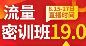 秋秋线上流量密训班19.0,打通流量关卡,线上也能实战流量破局-水滴知识网