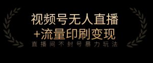 全网首发视频号不封号无人直播暴利玩法+流量印刷机变现，日入1000+【揭秘】-水滴知识网