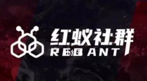社群运营:红蚁社群【48节落地系统课程+2000人高端社群】-水滴知识网