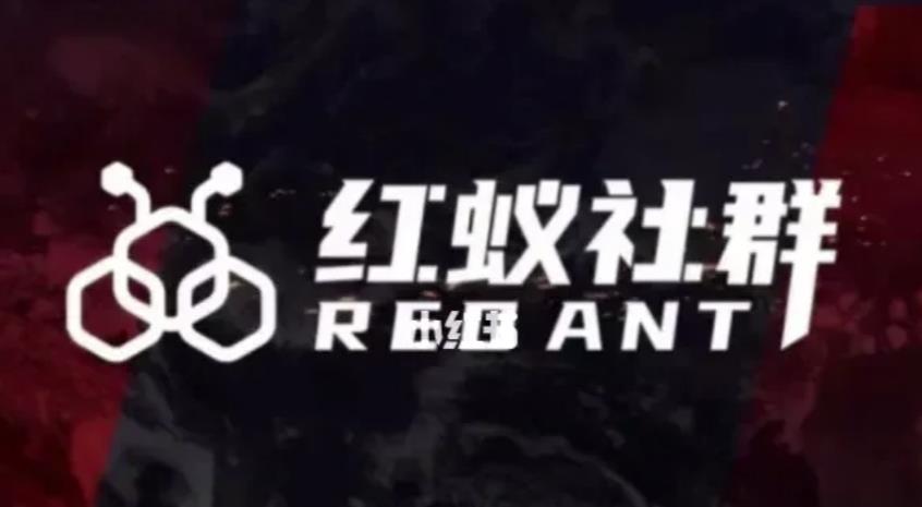 社群运营:红蚁社群【48节落地系统课程+2000人高端社群】-水滴知识网