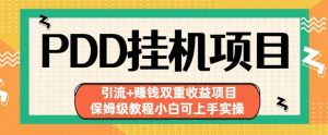 拼多多挂机项目引流+赚钱双重收益项目(保姆级教程小白可上手实操)【揭秘】-水滴知识网