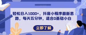 轻松日入1000+，抖音小程序最新思路，每天五分钟，适合0基础小白【揭秘】-水滴知识网