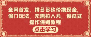 全网首发,拼多多砍价撸现金,偏门玩法,无需拉人头,傻瓜式操作保姆教程【揭秘】-水滴知识网