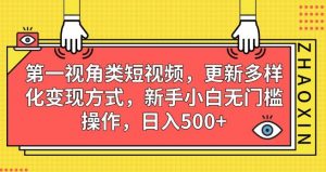 第一视角类短视频,更新多样化变现方式,新手小白无门槛操作,日入500+【揭秘】-水滴知识网
