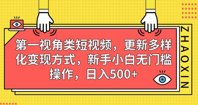 第一视角类短视频，更新多样化变现方式，新手小白无门槛操作，日入500+【揭秘】-水滴知识网