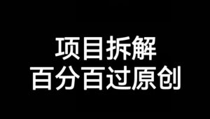 项目拆解赛道百分百过原创【揭秘】-水滴知识网