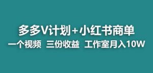 【蓝海项目】多多v计划+小红书商单一个视频三份收益工作室月入10w-水滴知识网