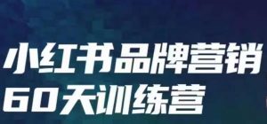 小红书品牌60天训练营第6期，GMV2亿级品牌老板都在学，教会你内容营销底层逻辑-水滴知识网