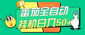 番茄全自动挂机日入50+,软件全自动,多号破百【揭秘】-水滴知识网