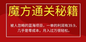 被人忽略的蓝海项目，魔方通关秘籍，一单的利润有39.9，几乎是零成本，月入过万很轻松【揭秘】-水滴知识网