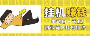 美金挂机项目，单窗口一天12，官方免费插件自动运行，对小白友好【揭秘】-水滴知识网