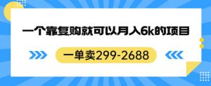 一单卖299-2688,一个靠复购就可以月入6k的暴利项目【揭秘】-水滴知识网
