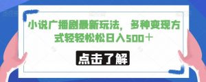 小说广播剧最新玩法，多种变现方式轻轻松松日入500＋【揭秘】-水滴知识网