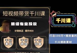 短视频带货-千川专业投放课,精细化专业投放,计划纠正,提升ROI-水滴知识网