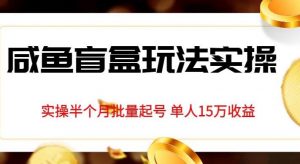 独家首发咸鱼盲盒玩法实操,半个月批量起号单人15万收益【揭秘】-水滴知识网