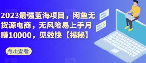 2023最强蓝海项目,闲鱼无货源电商,无风险易上手月赚10000,见效快【揭秘】-水滴知识网