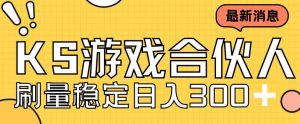 快手游戏合伙人新项目，新手小白也可日入300+，工作室可大量跑-水滴知识网