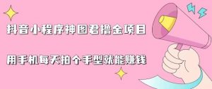 抖音小程序神图君撸金项目，用手机每天拍个手型挂载一下小程序就能赚钱【揭秘】-水滴知识网