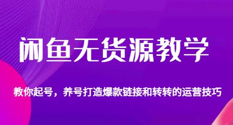 闲鱼无货源教学,教你起号,养号打造爆款链接以及转转的运营技巧-水滴知识网