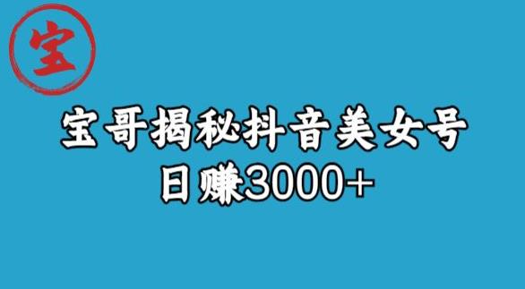 宝哥揭秘抖音美女号玩法，日赚3000+【揭秘】-水滴知识网