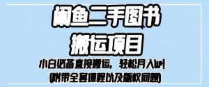 外面卖1980的闲鱼二手图书搬运项目，小白必备直接搬运，轻松月入1w+【揭秘】-水滴知识网