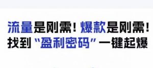 电商盈利精品课:6大盈利密码让产品更好卖,流量是刚需!爆款是刚需!找到”盈利密码”一键起爆-水滴知识网